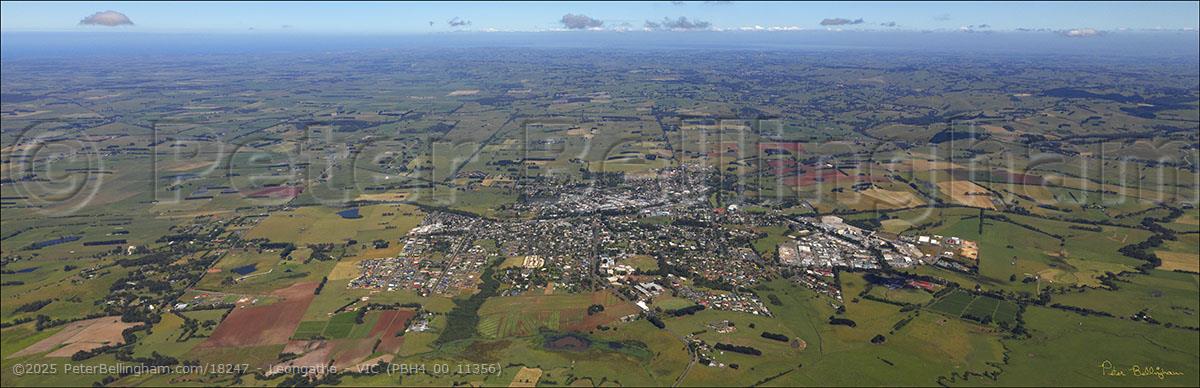 Peter Bellingham Photography Leongatha - VIC (PBH4 00 11356)